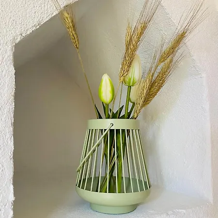 Appartement Haus Fiel