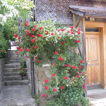 Haus Fiel *