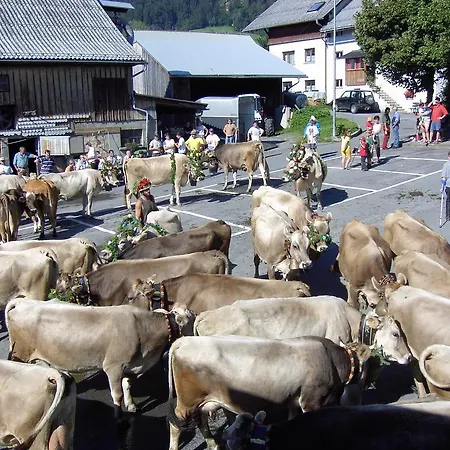 Haus Fiel Apartment Dornbirn