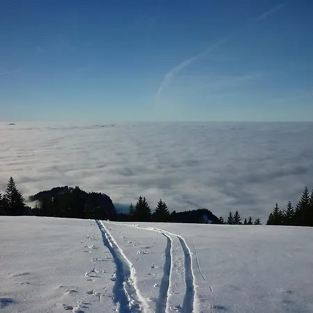 Haus Fiel Apartment Dornbirn